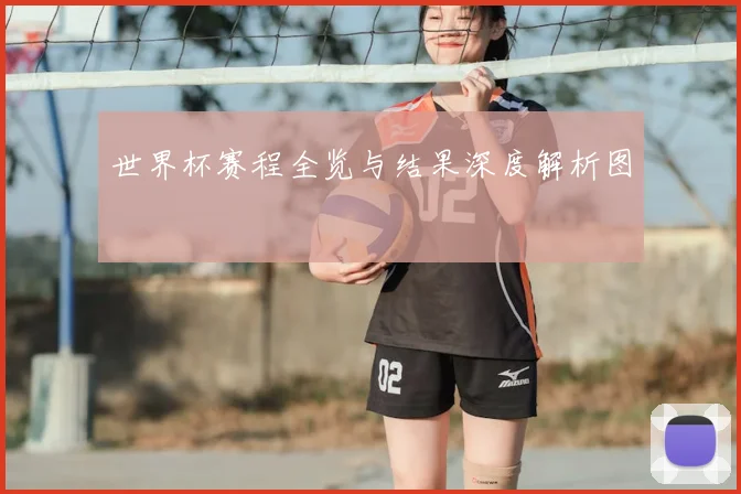 世界杯赛程全览与结果深度解析图