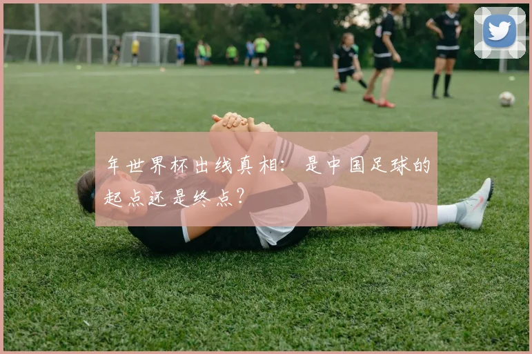 年世界杯出线真相:是中国足球的起点还是终点?
