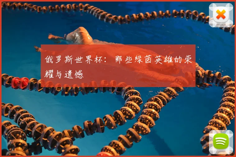 俄罗斯世界杯：那些绿茵英雄的荣耀与遗憾
