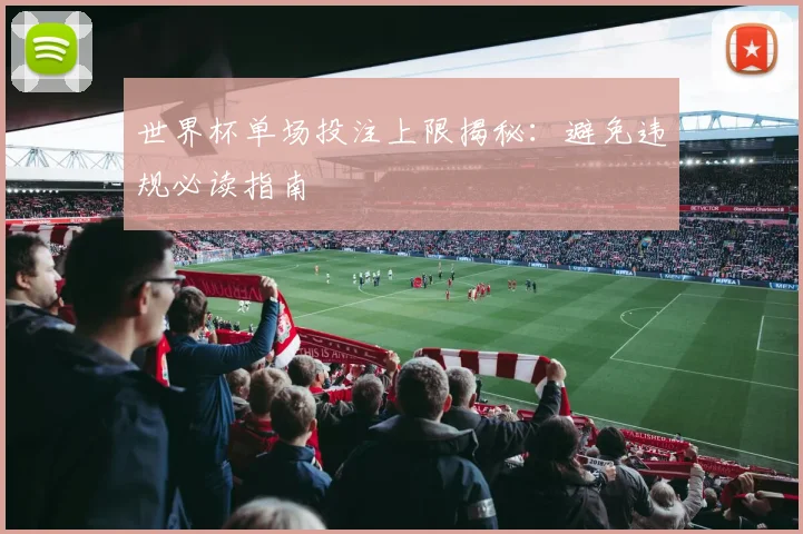 世界杯单场投注上限揭秘:避免违规必读指南