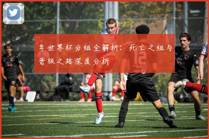 年世界杯分组全解析：死亡之组与晋级之路深度分析