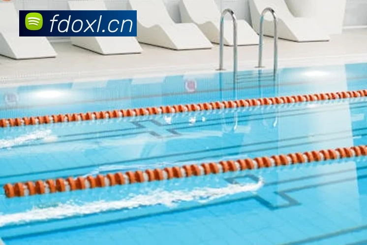 多媒体互动体验